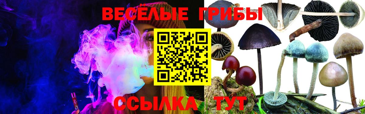 Псилоцибиновые грибы GOLDEN TEACHER  Вход с VPN  Волжск 